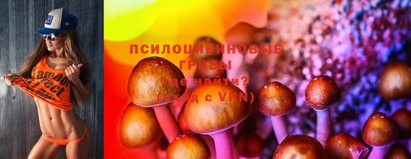 гидра Абинск