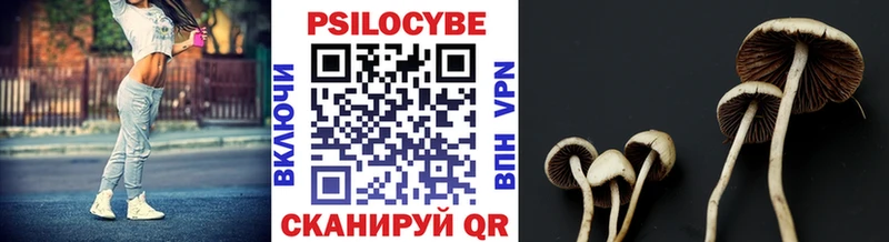 shop официальный сайт  Ак-Довурак  Галлюциногенные грибы Magic Shrooms  hydra сайт 